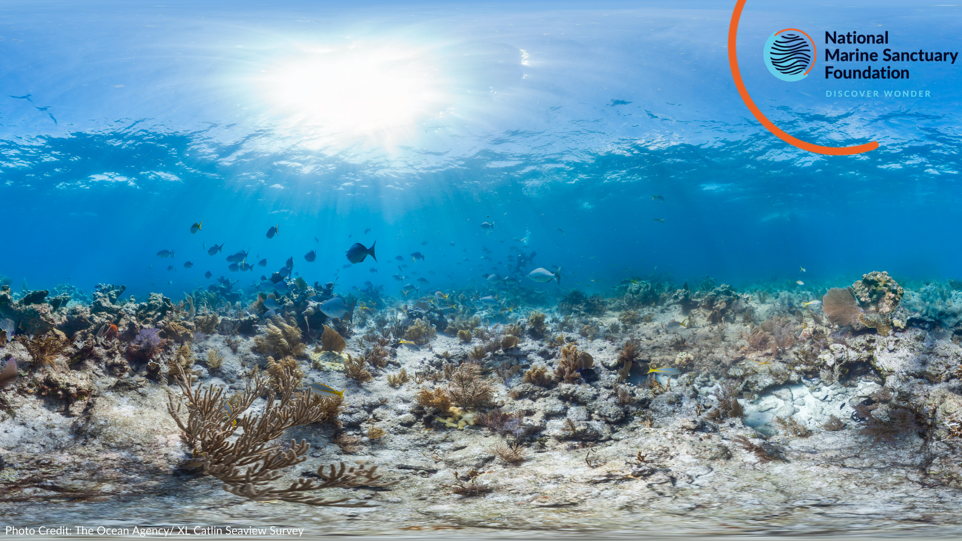 Underwater coral reef scene with sunlight, fish, and the National Marine Sanctuary Foundation logo.