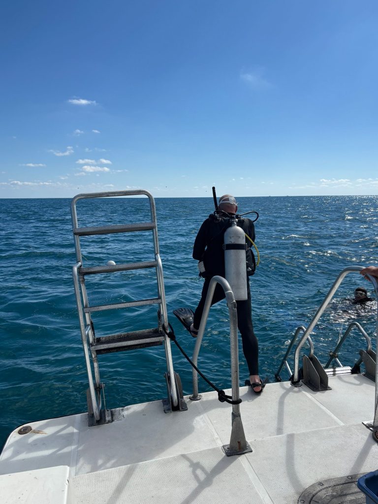 Scuba diver with tank and gear standing on a boat ladder over the ocean.