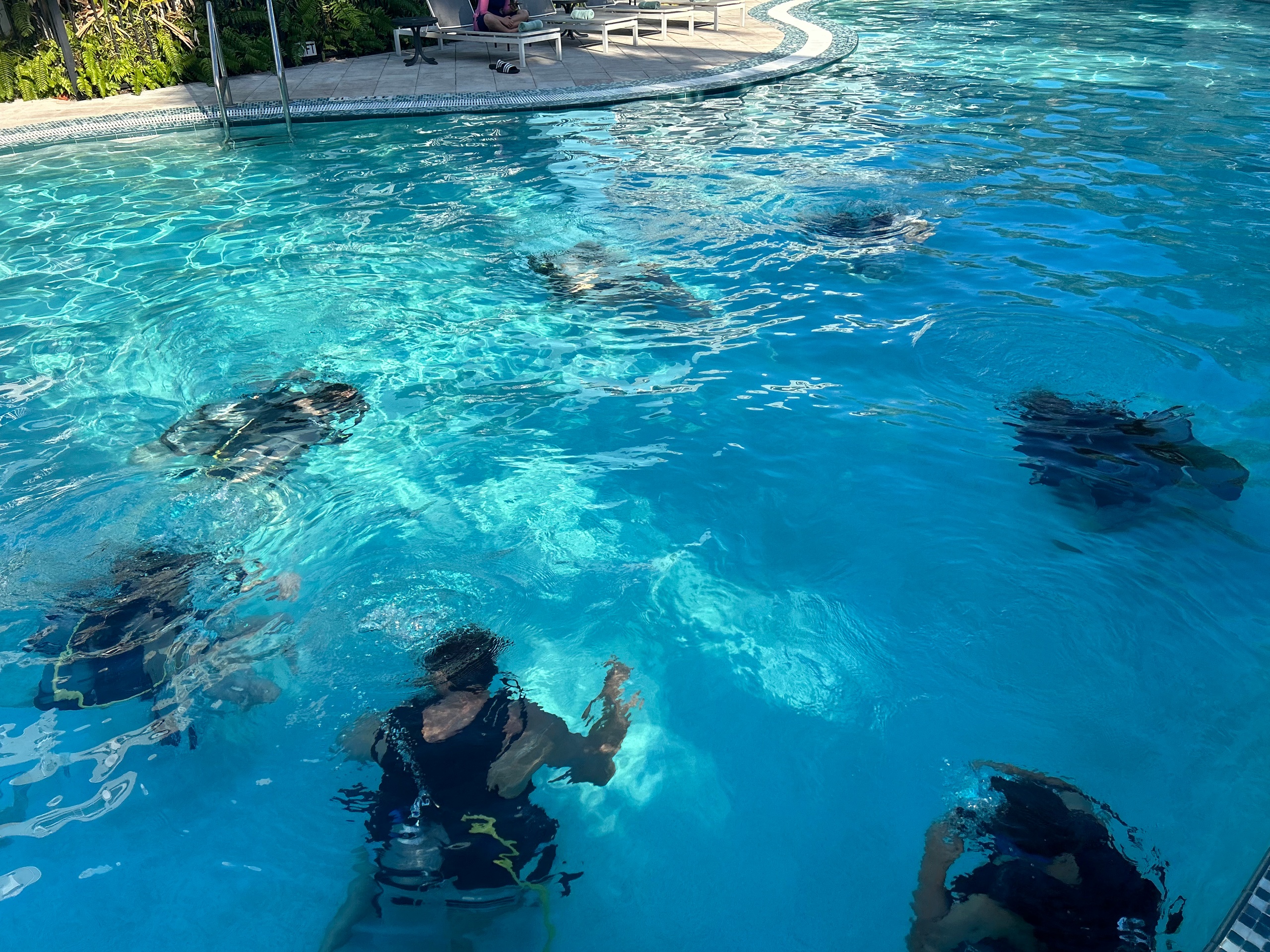 People snorkeling underwater in a clear pool.
