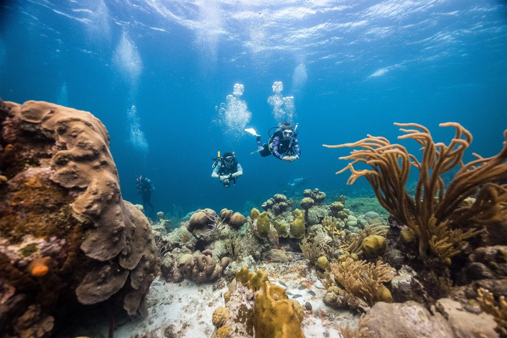 Three divers explore a vibrant coral reef underwater.