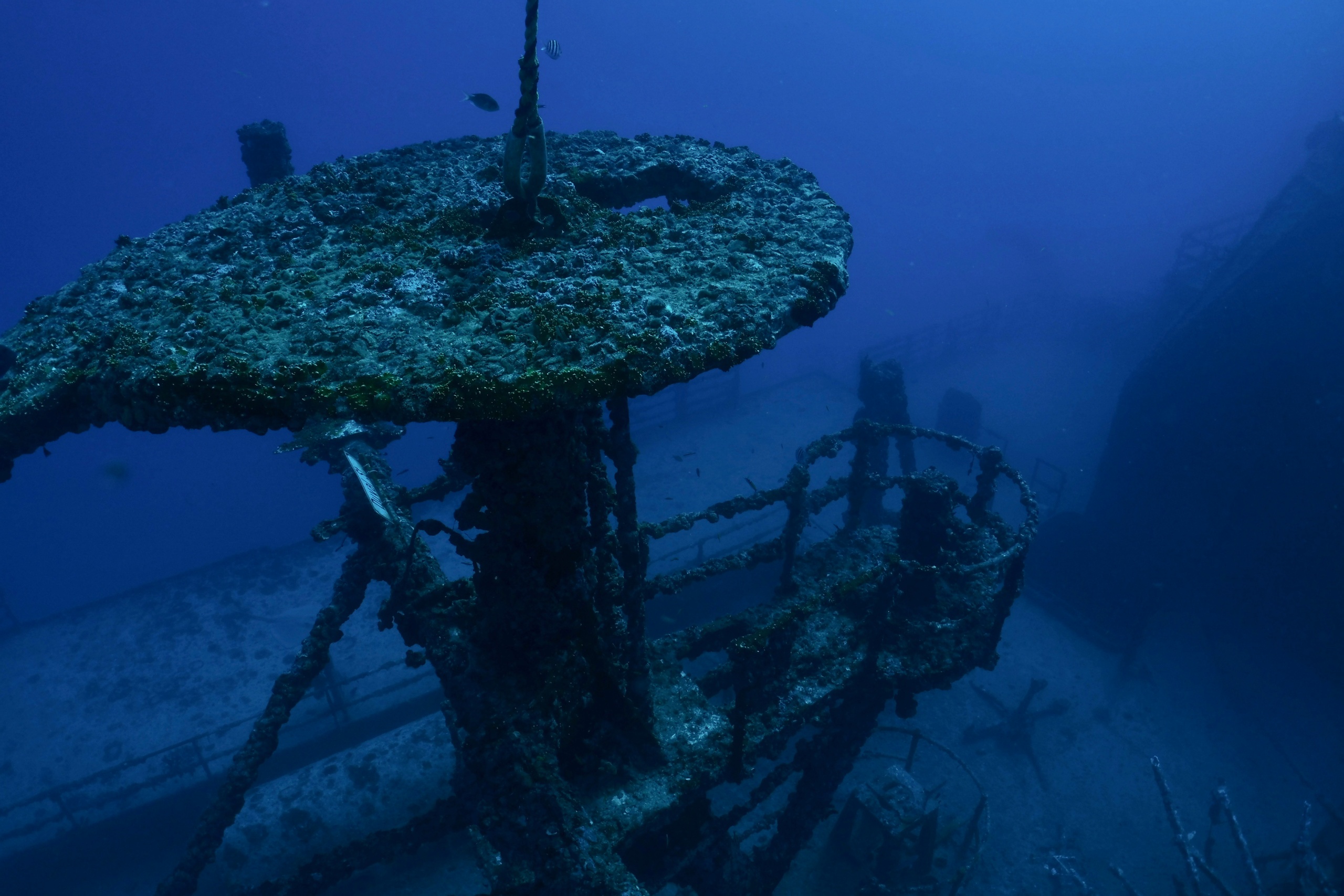 Underwater view of a shipwreck with marine growth.