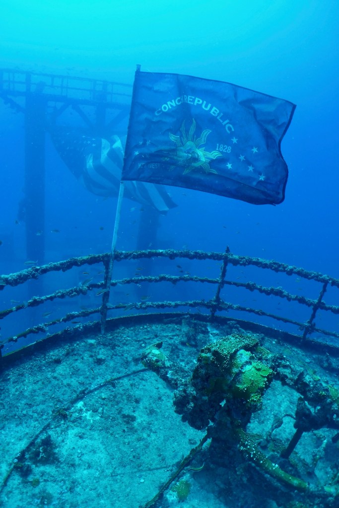 Sunken ship with algae and a flag underwater.