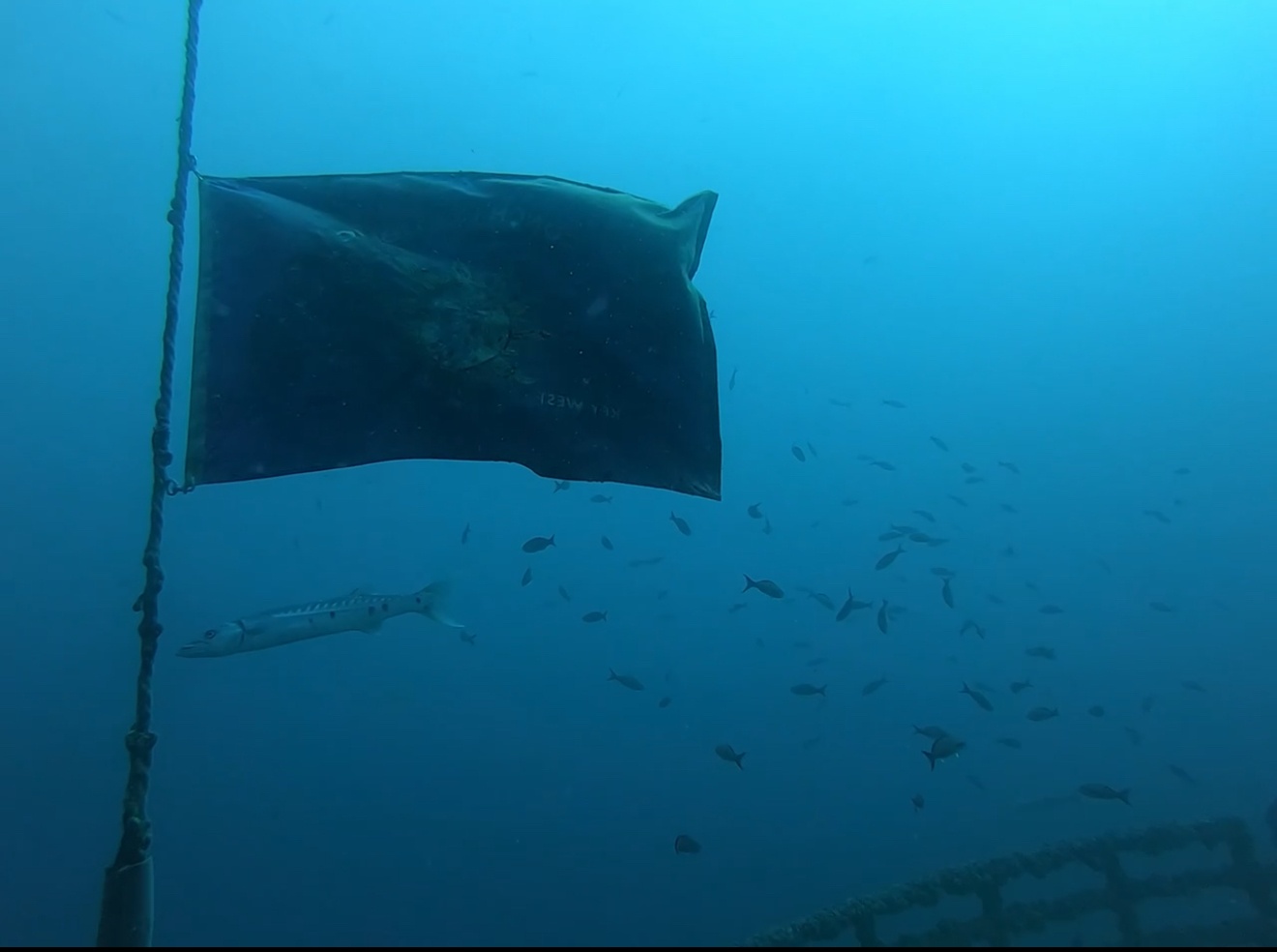 Underwater scene with flag, fish swimming, and shipwreck.