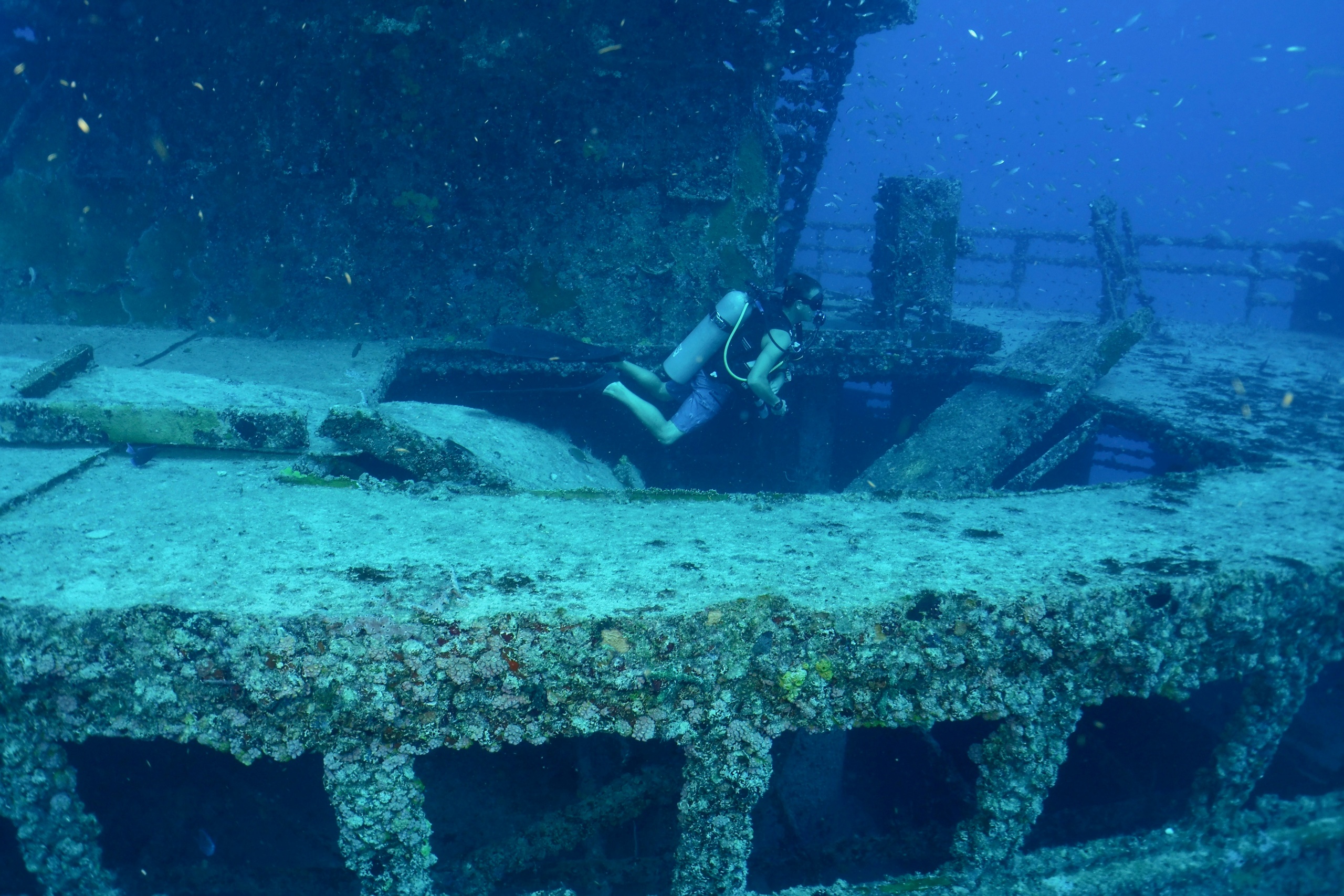 Scuba diver exploring a sunken shipwreck underwater.