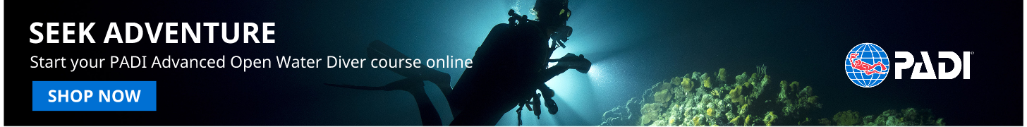 Diver underwater with 'Seek Adventure' PADI ad, 'Shop Now' button.