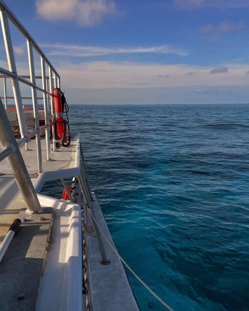 View from a boat deck overlooking a calm ocean under a blue sky.