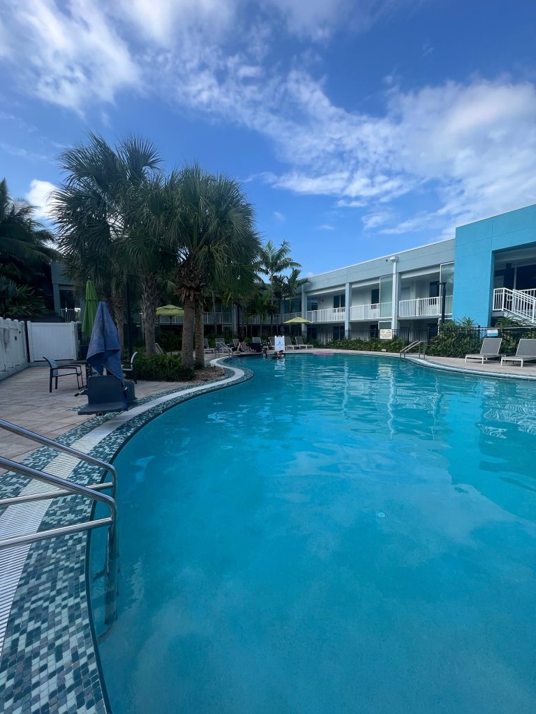 Curved swimming pool, palm trees, and blue sky at a resort.