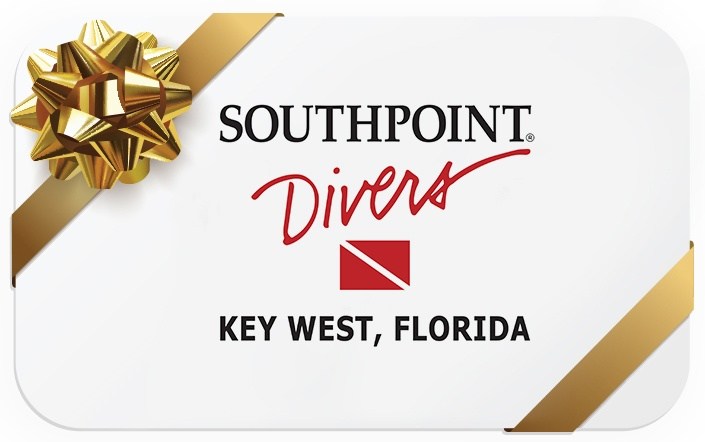 Gift card with gold bow and ribbon, 'Southpoint Divers Key West, Florida' printed.
