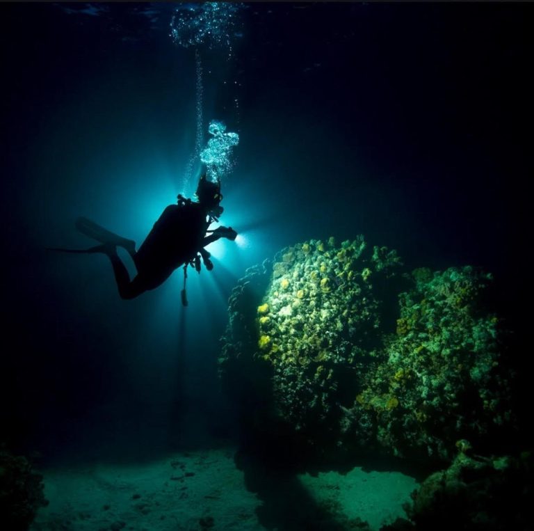 Silhouette of a scuba diver near illuminated coral reef at night.
