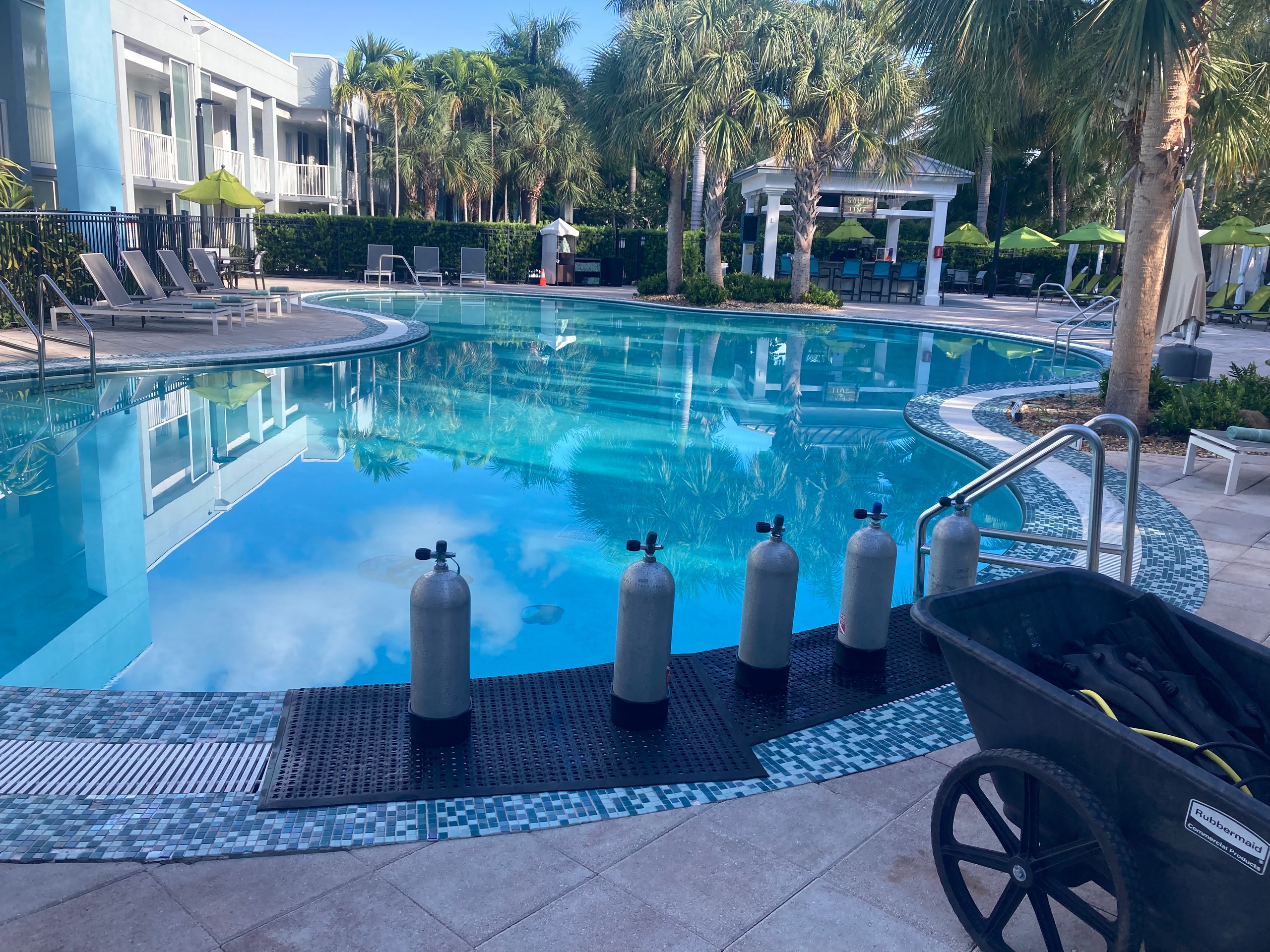 Outdoor pool with lounge chairs, palm trees, and scuba tanks beside the water.