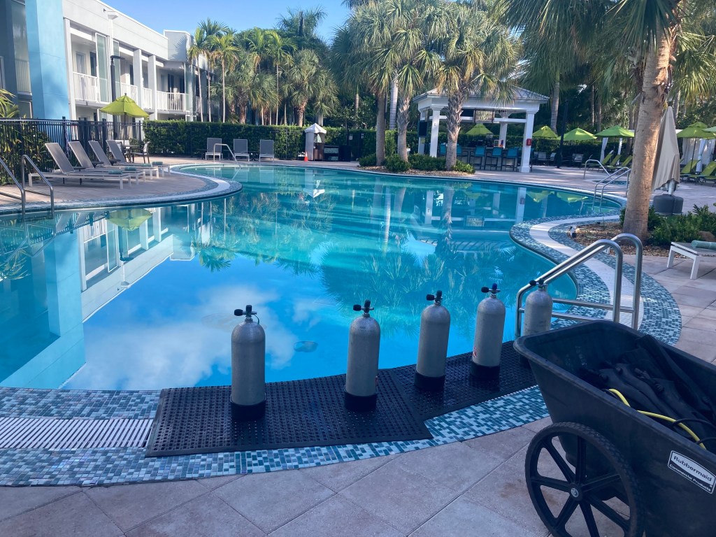Outdoor pool with lounge chairs, palm trees, and scuba tanks beside the water.