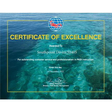 Certificate of Excellence for Southpoint Divers over ocean background.