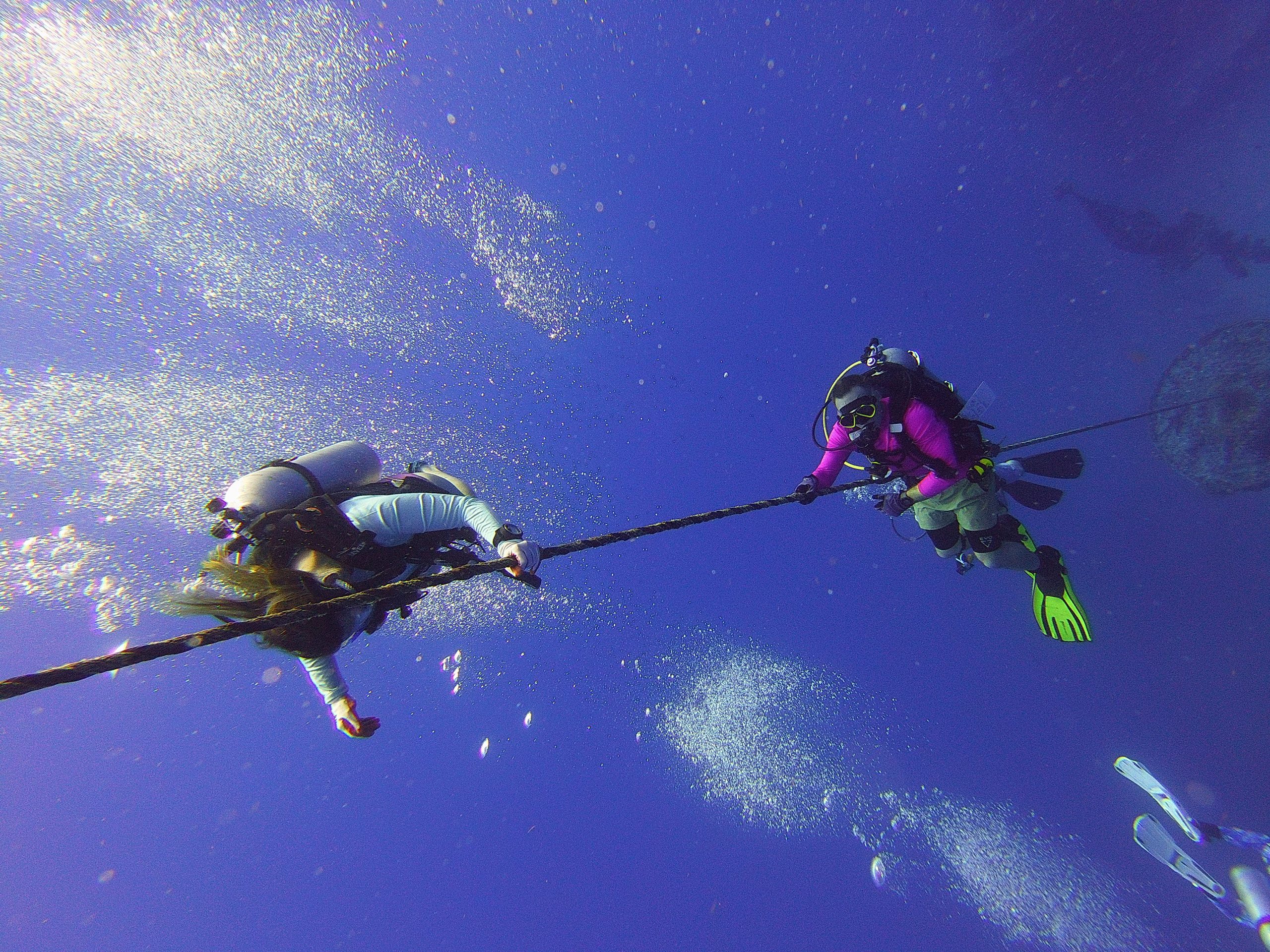 Two scuba divers holding a rope underwater with bubbles rising.