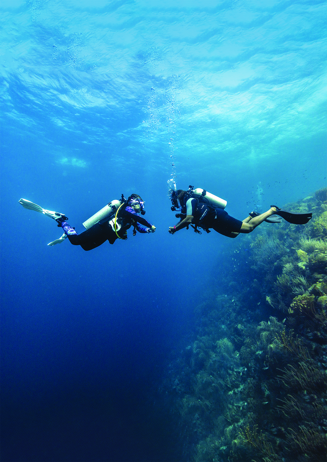 Two scuba divers underwater near a coral reef.
