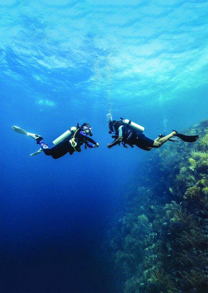 Two scuba divers underwater near a coral reef.