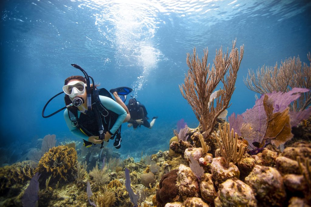 Two scuba divers exploring vibrant coral reef underwater.