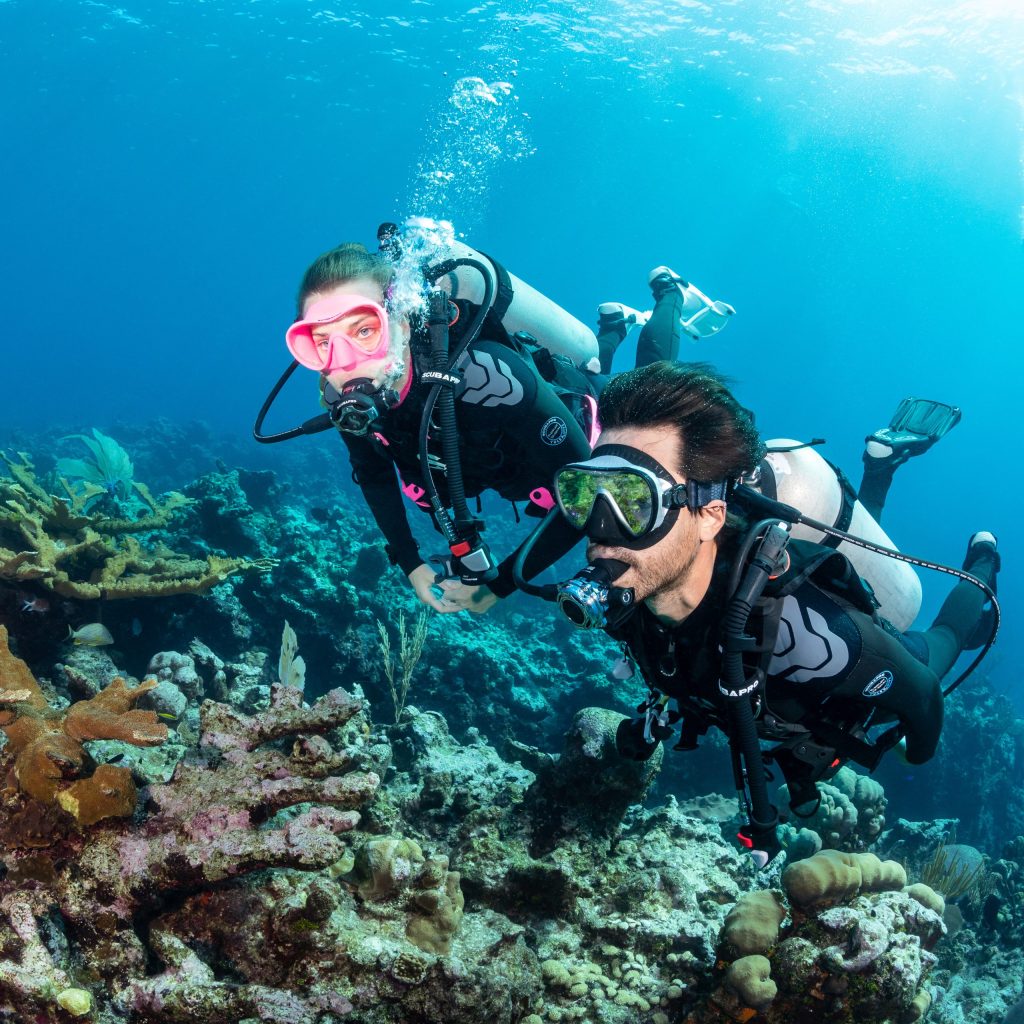 Two scuba divers exploring a coral reef underwater.